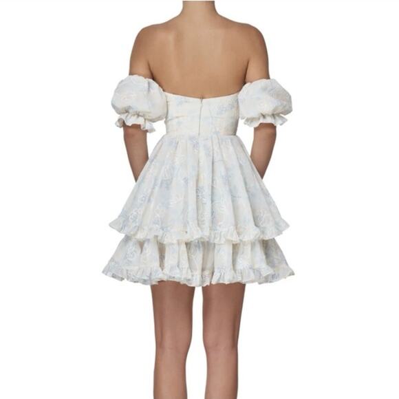 Adeirlina Summer in Tuscany Mini Dress size XS floral coquette milkmaid fairy - Picture 10 of 11